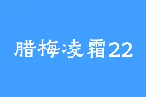 腊梅凌霜22
