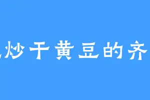 爱吃炒干黄豆的齐同善