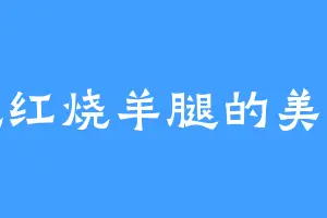 爱吃红烧羊腿的美少女