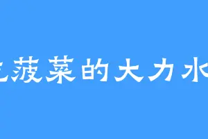 爱吃菠菜的大力水手B