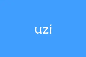 uzi