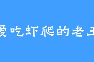 爱吃虾爬的老王