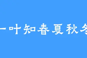 一叶知春夏秋冬