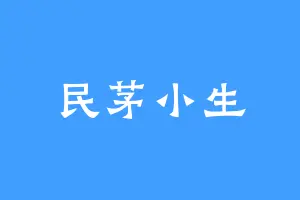 民茅小生
