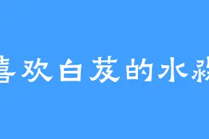 喜欢白芨的水淼