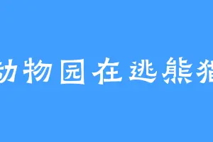 动物园在逃熊猫