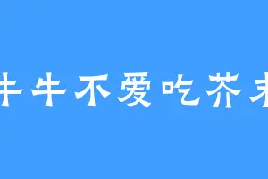 牛牛不爱吃芥末