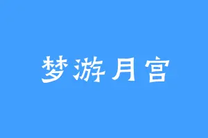 梦游月宫