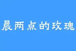 凌晨两点的玫瑰花