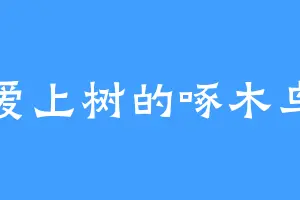 爱上树的啄木鸟