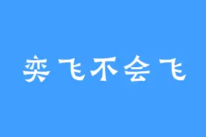 奕飞不会飞