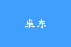 枭东