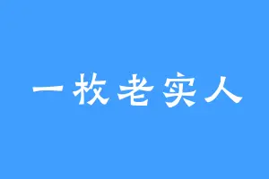 一枚老实人