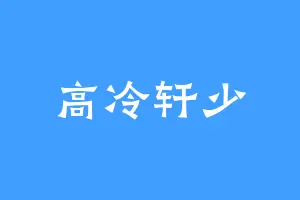 高冷轩少