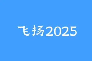 飞扬2025