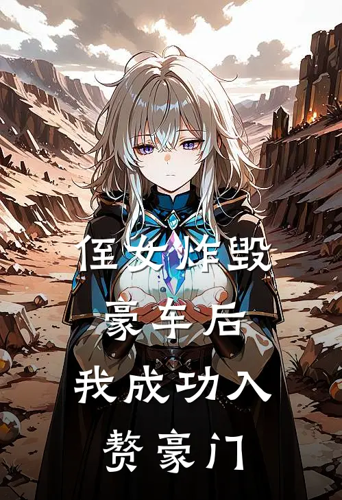 侄女炸毁豪车后，我成功入赘豪门美琪晓晨最新好看小说_免费小说侄女炸毁豪车后，我成功入赘豪门(美琪晓晨)