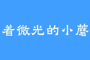 举着微光的小蘑菇