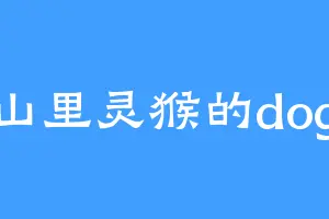 山里灵猴的dog