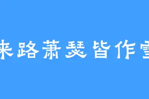 来路萧瑟皆作雪