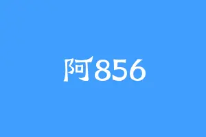 阿856