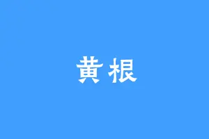 黄根