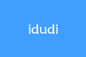 idudi