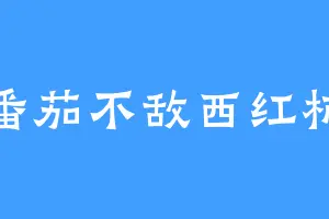 番茄不敌西红柿