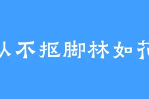 从不抠脚林如花