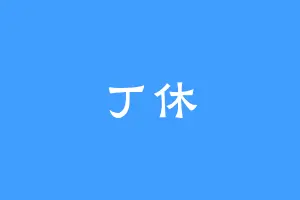 丁休