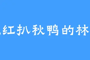 爱吃红扒秋鸭的林东东