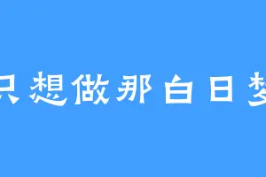 只想做那白日梦