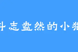 斗志盎然的小猫