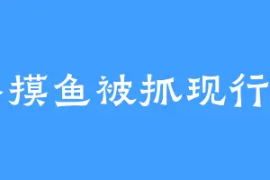 格摸鱼被抓现行了