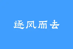 逐风而去