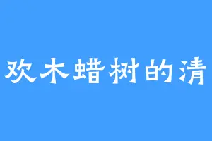 喜欢木蜡树的清辉
