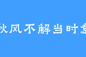 秋风不解当时意