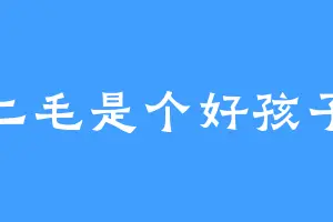 二毛是个好孩子