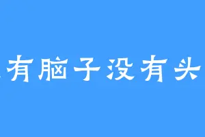 空有脑子没有头脑