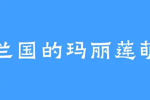 唐兰国的玛丽莲萌兔