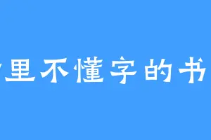 村里不懂字的书童