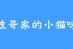 波哥家的小猫咪