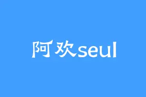 阿欢seul