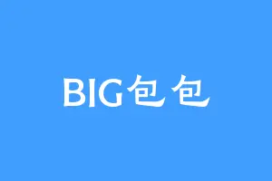 BIG包包