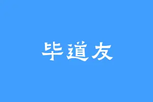 毕道友