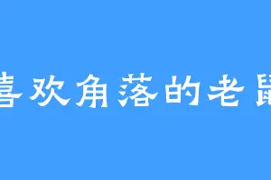 喜欢角落的老鼠