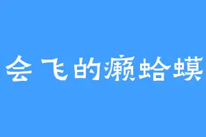 会飞的癞蛤蟆