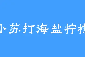 小苏打海盐柠檬