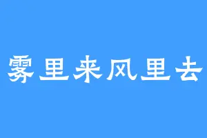 雾里来风里去