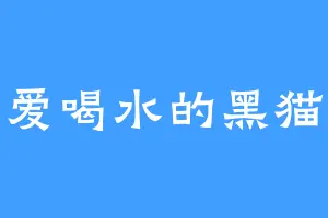 爱喝水的黑猫