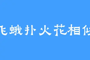 飞蛾扑火花相似